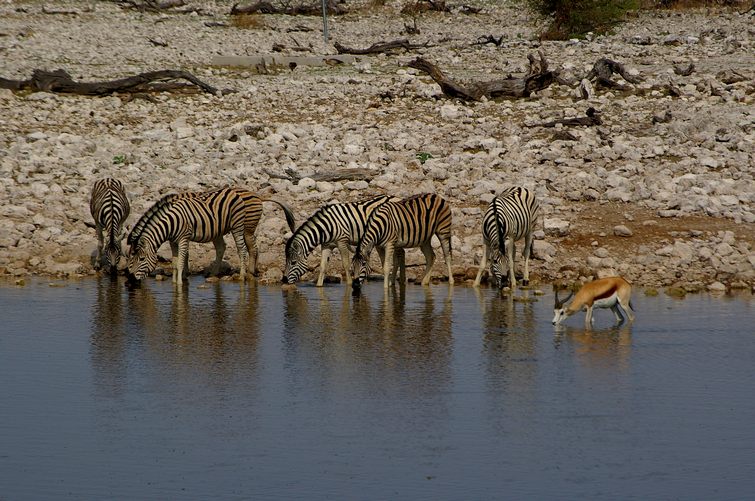676 Namibia Okt 2006 .JPG